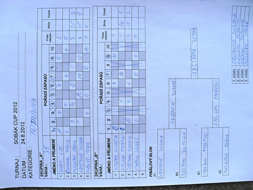 Sobenský rybník 201241.JPG.JPG